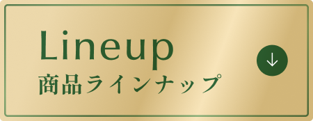 商品ラインナップ