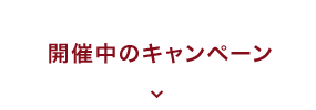 開催中のキャンペーン