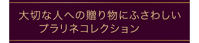 大切な人への贈り物にふさわしいプラリネコレクション