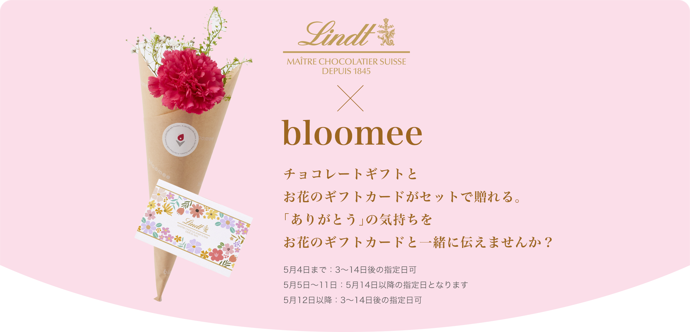 bloomee