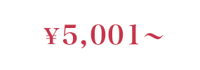 ￥5,001～