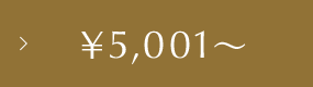 ￥5,001～