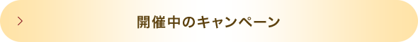 開催中のキャンペーン