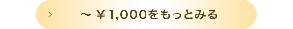 ～￥1,000