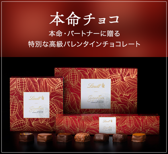 スペシャルギフトセット　バレンタイン　リンドール　リンツ スペシャルギフトセットバレンタインリンドールリンツ