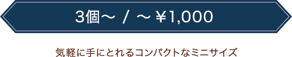 気軽に手にとれるコンパクトなミニサイズ