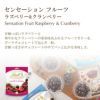 リンツsummerチョコレートセンセーションフルーツフランボワーズ＆クランベリー