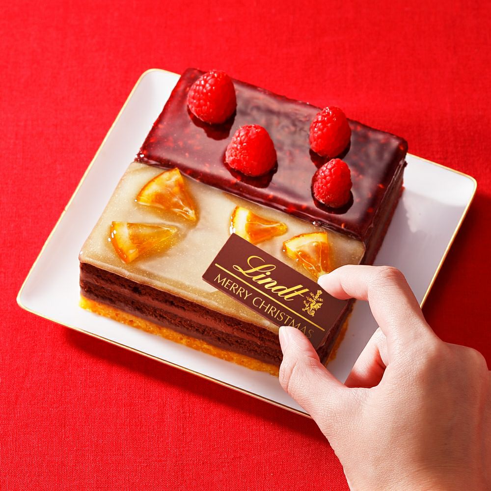冷凍配送 リンツ クリスマスケーキ ジョワイユ ショコラ 2021 送料込 リンツ チョコレート オンラインショップ