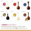 リンツLindtチョコレートバレンタインリンドールクラシックギフトボックス12個入り【lindorリンドールチョコお菓子ギフトリンツチョコ詰め合わせバレンタインチョコかわいいバレンタインチョコレートバレンタインデー輸入会社職場義理チョコ】