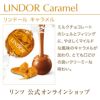 リンドールミルク10個入り