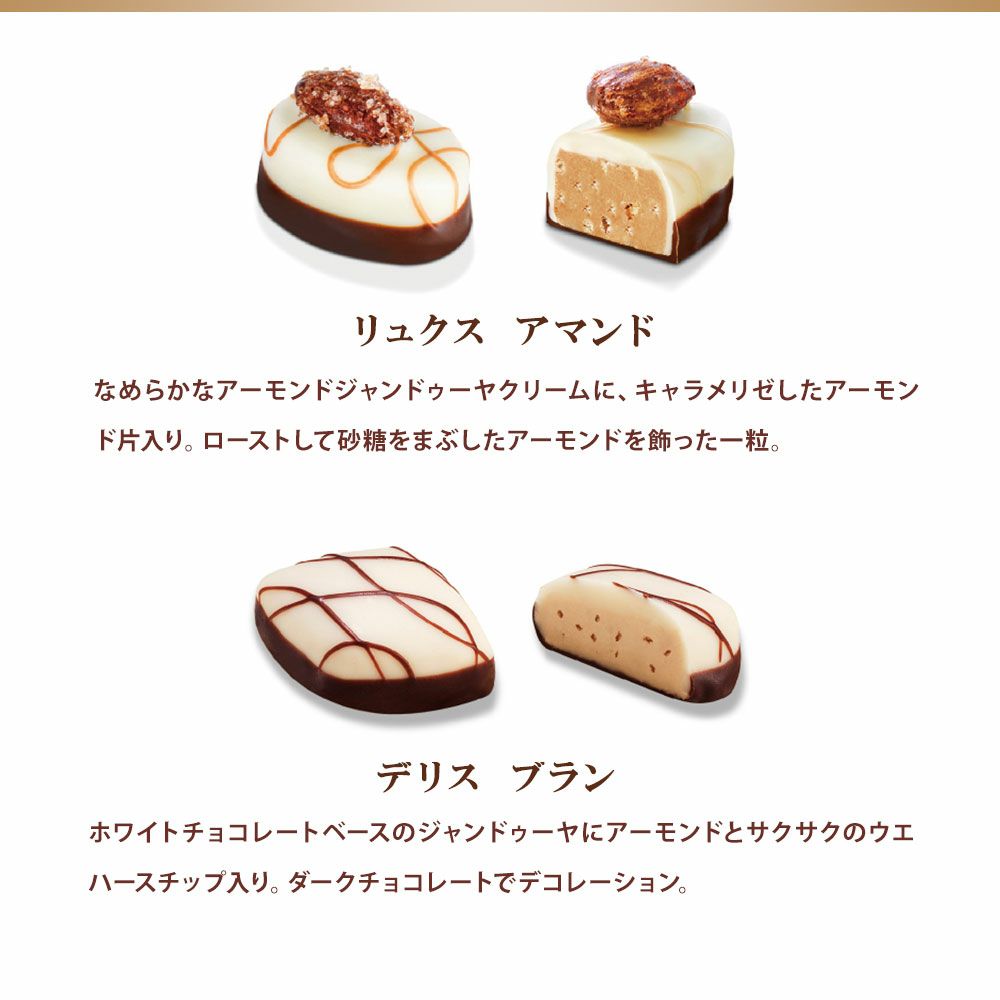 TTD 1860【⭐︎ ナッツ様⭐︎様専用】【美品・数量限定】 【公式