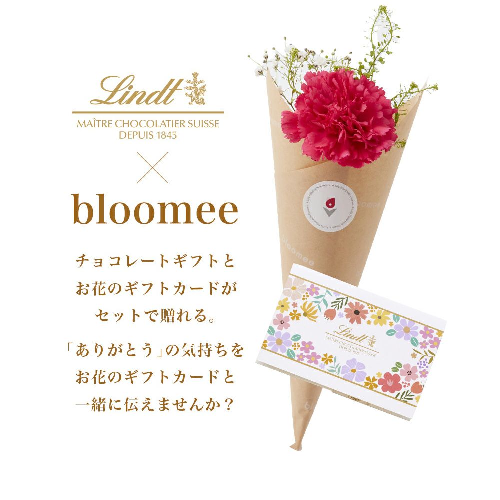 リンドールギフトボックス 20個入 ×ブルーミーギフトカードセット